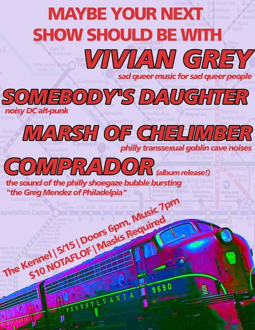 VIVIAN GREY, SOMEBODY’S DAUGHTER, MARSH OF CHELIMBER, COMPRADOR