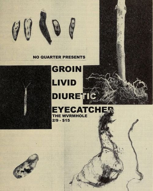 GROIN, LIVID, DIURETIC, EYECATCHER