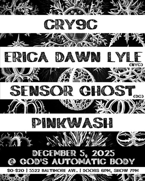 Pinkwash, Erica Dawn Lyle, Sensor Ghost, Cry9c
